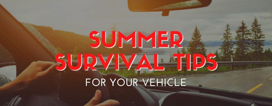 Summer Survival Tips for Your Vehicle